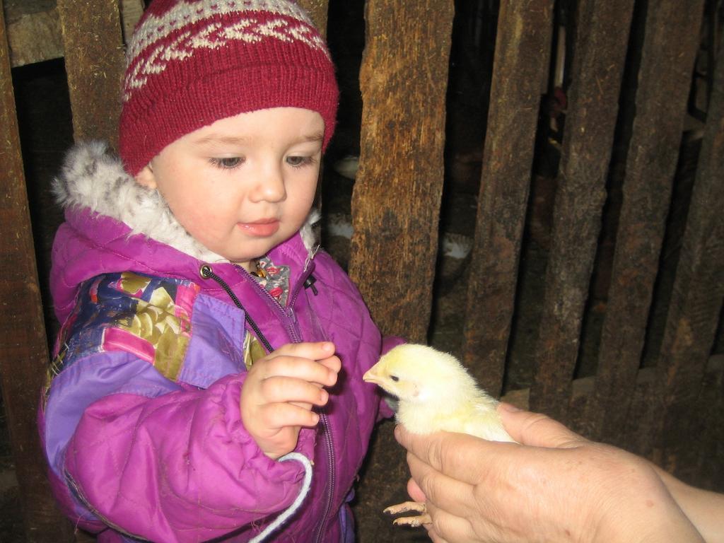 Willa Biohof Koeck Tonibauer Zeutschach Zewnętrze zdjęcie