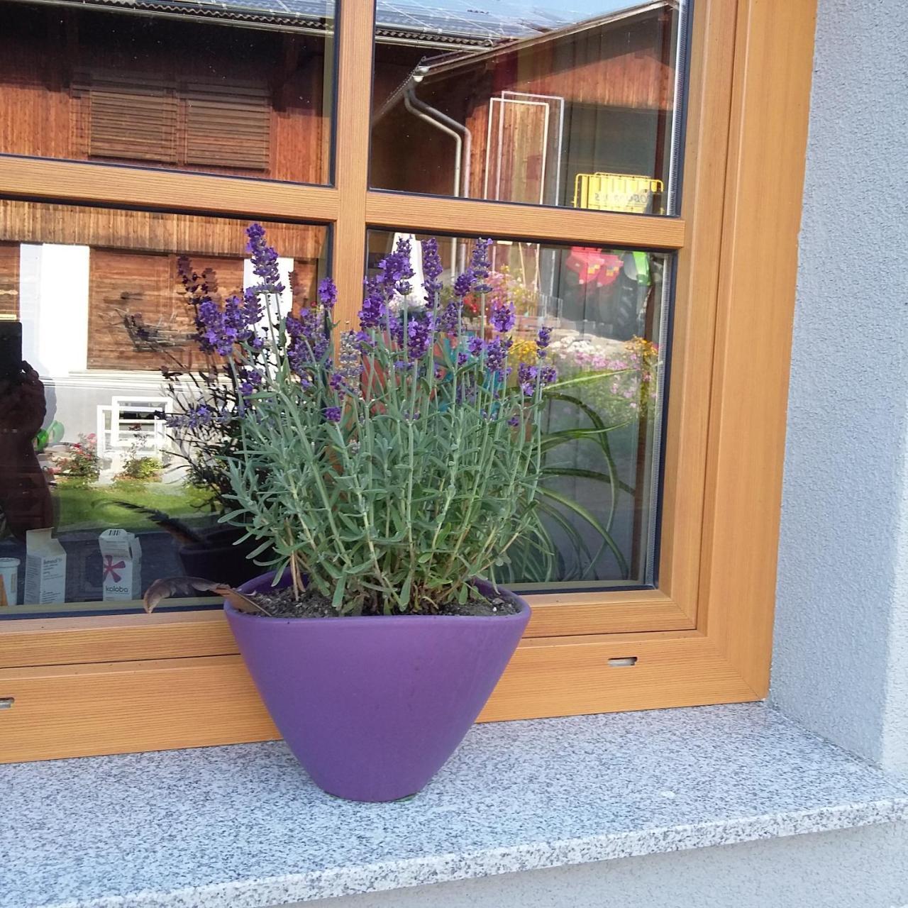 Willa Biohof Koeck Tonibauer Zeutschach Zewnętrze zdjęcie